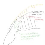 根尖部フェネストレーション(開窓)